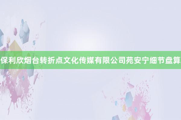 保利欣烟台转折点文化传媒有限公司苑安宁细节盘算